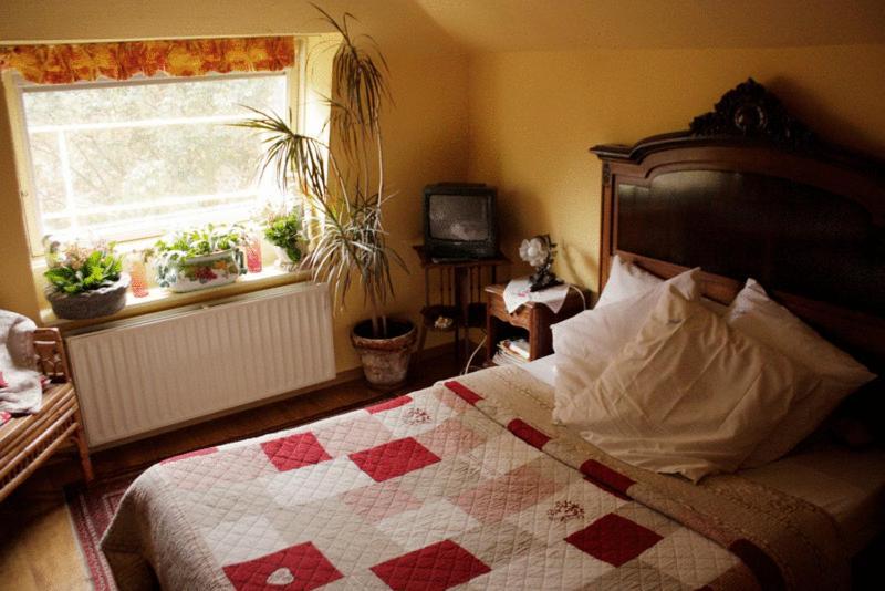 Hotel Les Bluets Brussels Room photo
